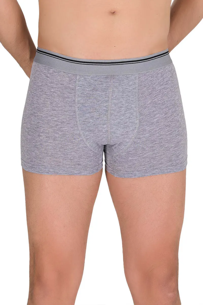 Berrak Berrak 1097 Erkek Boxer — Gri