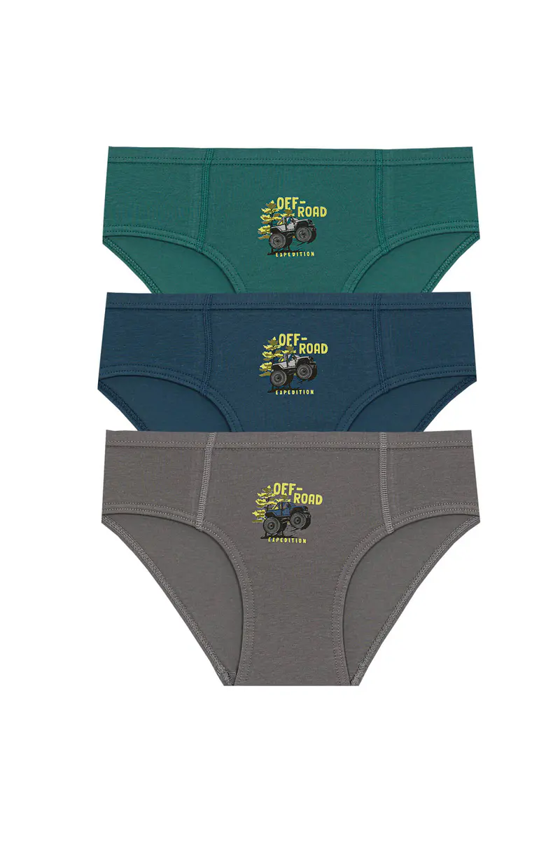 Berrak Berrak 1579 Erkek Çocuk 3'lü Slip
