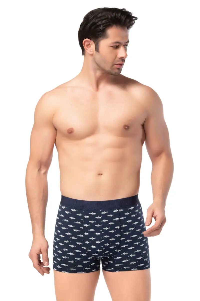 Berrak Berrak 4480 Erkek Boxer — Desen-29