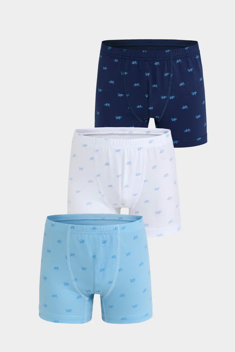 Berrak Berrak 5078 Erkek Çocuk 3'lü Boxer