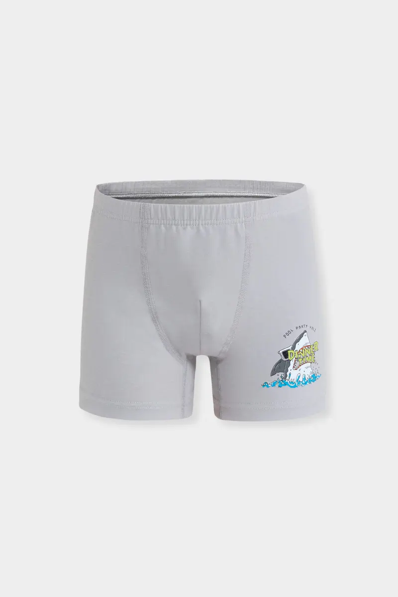 Berrak Berrak 5070 Erkek Çocuk 3'lü Boxer