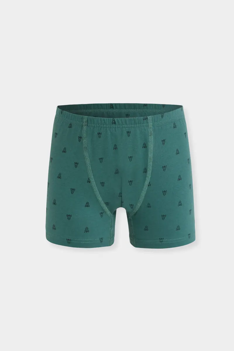 Berrak Berrak 5081 Erkek Çocuk 3'lü Boxer