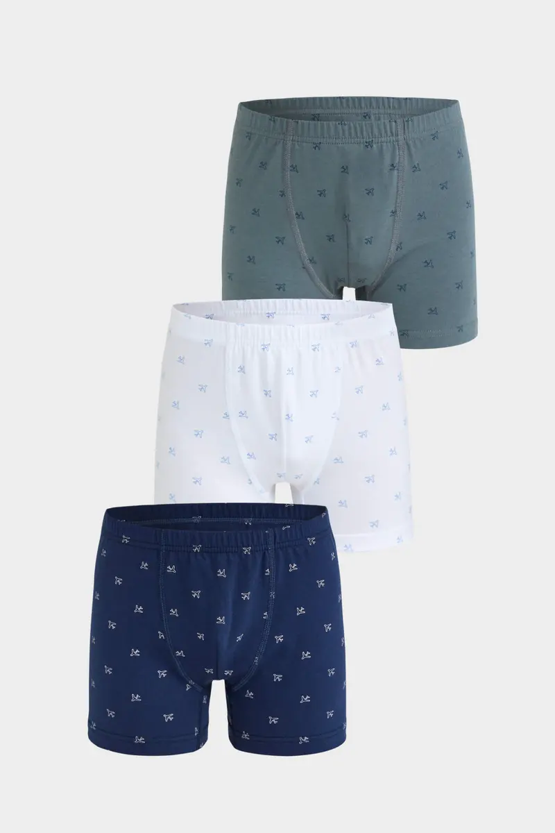 Berrak Berrak 5066 Erkek Çocuk 3'lü Boxer