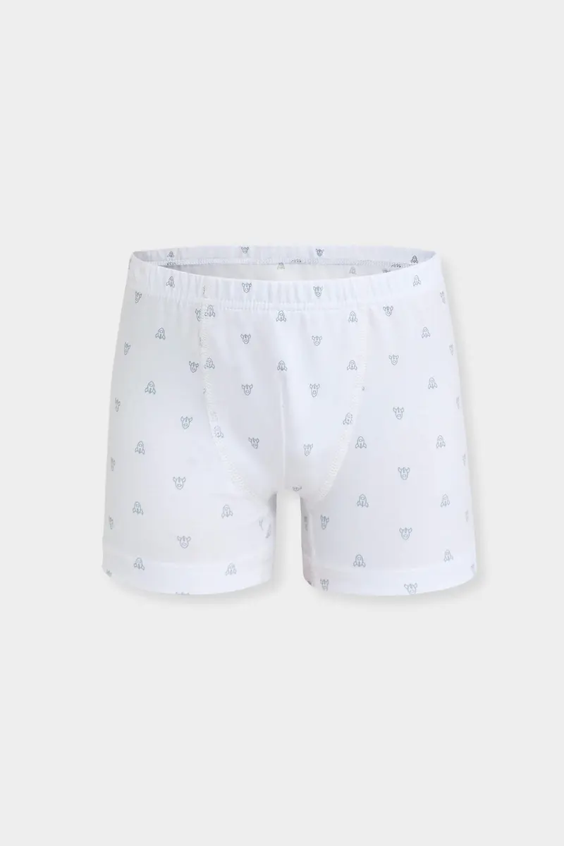 Berrak Berrak 5081 Erkek Çocuk 3'lü Boxer