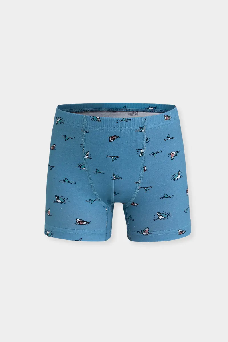 Berrak Berrak 5070 Erkek Çocuk 3'lü Boxer