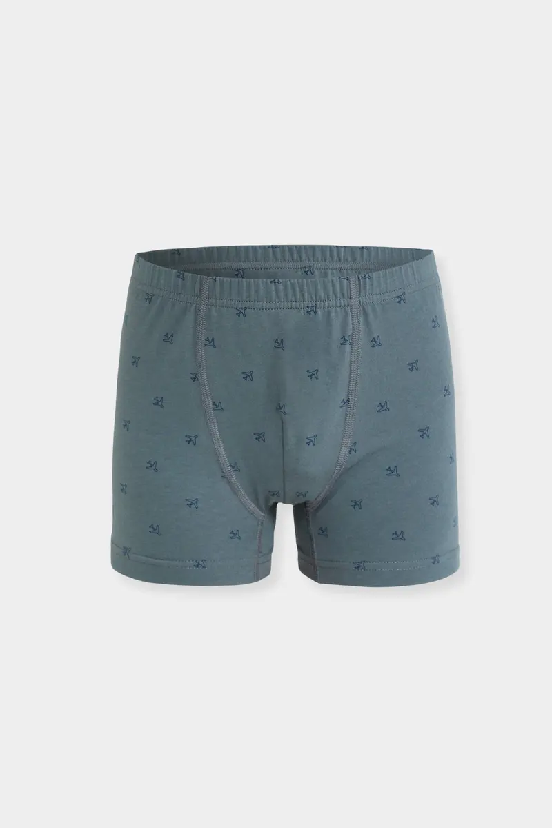 Berrak Berrak 5066 Erkek Çocuk 3'lü Boxer