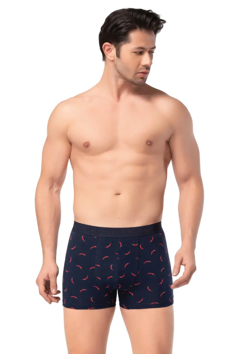 Berrak Berrak 4480 Erkek Boxer — Desen-26