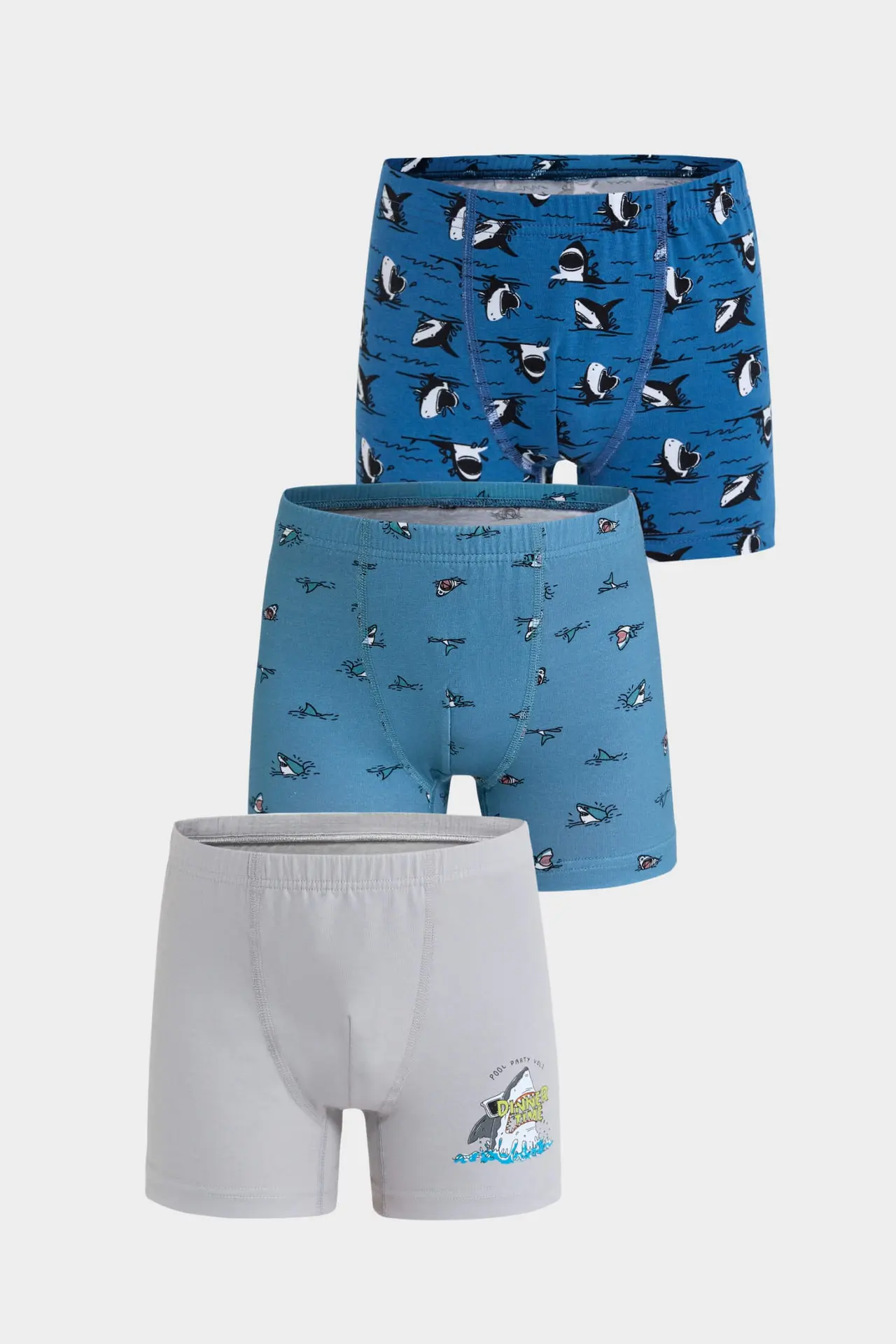 Berrak Berrak 5070 Erkek Çocuk 3'lü Boxer