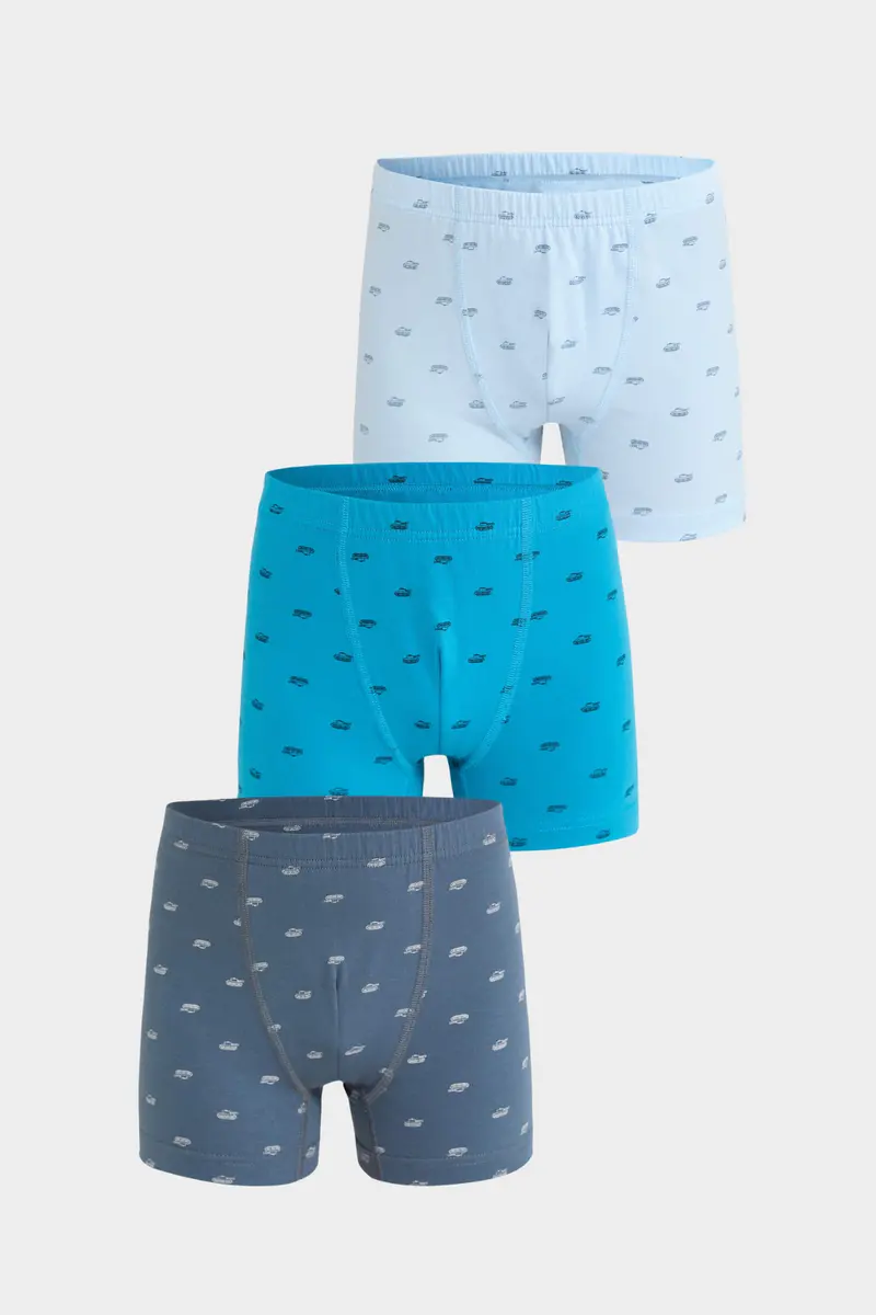 Berrak Berrak 5075 Erkek Çocuk 3'lü Boxer