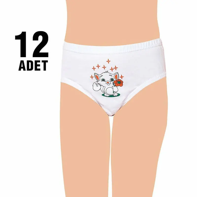 Seher Yıldızı Seher 0051 Kız Çocuk İşli Kom Slip Külot 12'li